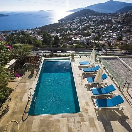 Swan Villa